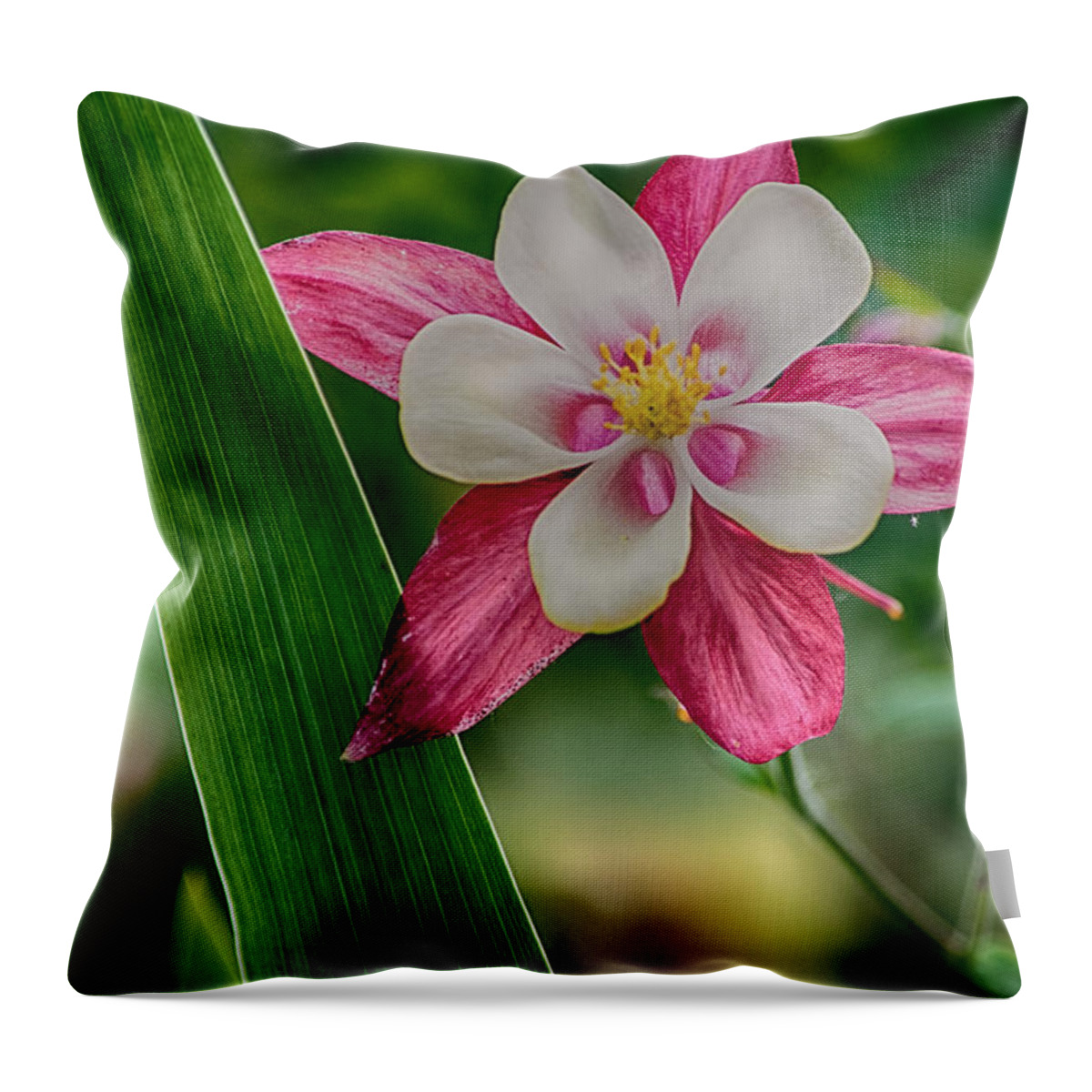 Pink Flower Throw Pillow featuring the photograph Pink Perfection by Bonnie Bruno