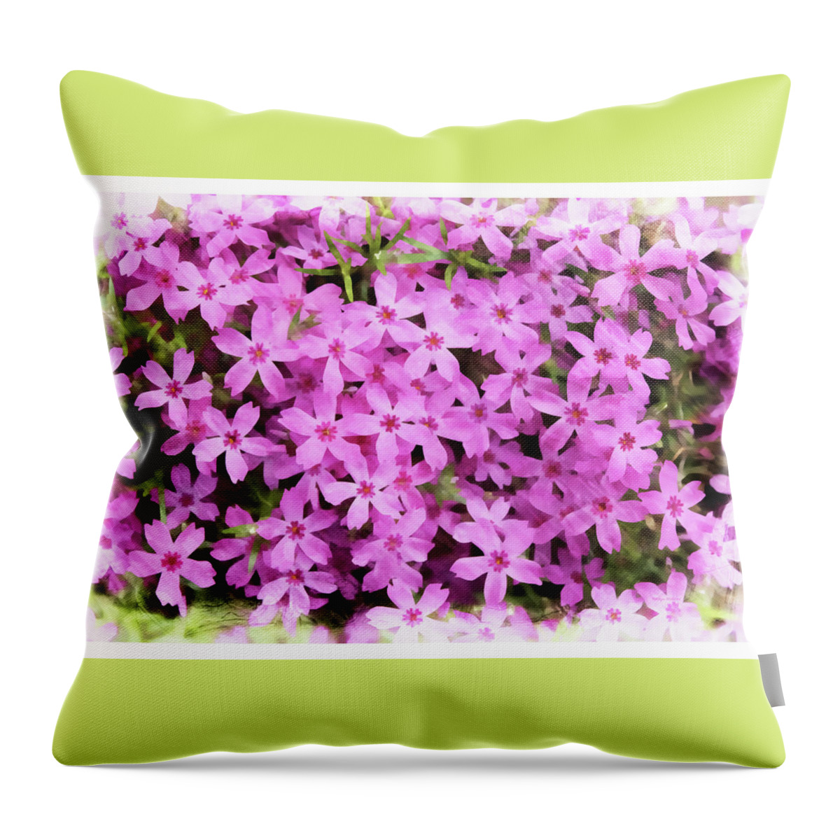Phlox Throw Pillow featuring the photograph Pink Phlox by Margie Wildblood