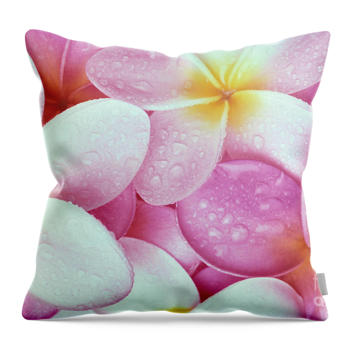 Aloha Throw Pillow featuring the photograph Pink Plumeria by Carl Shaneff - Printscapes