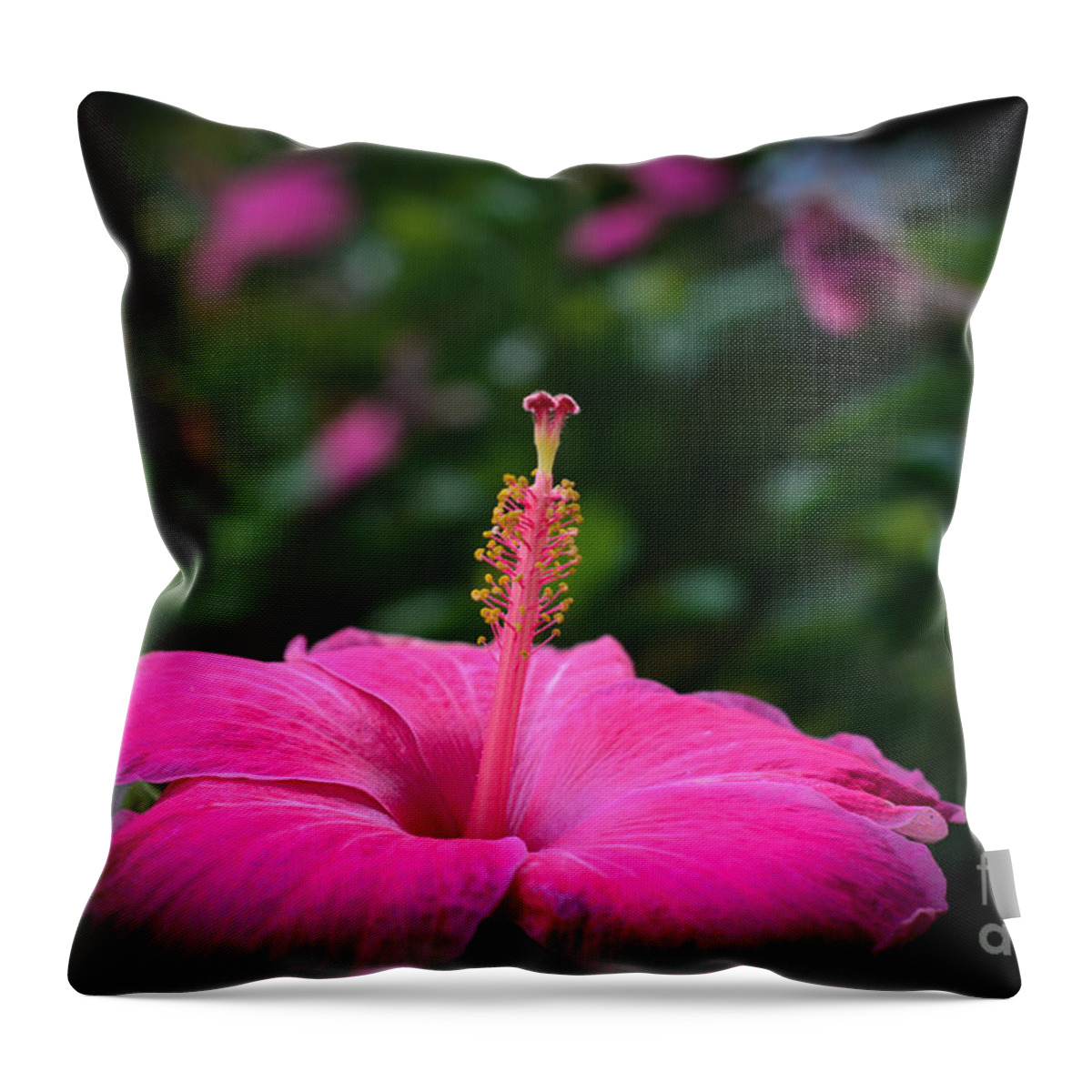 Photograph Throw Pillow featuring the photograph Pink Romance by Kelly Wade