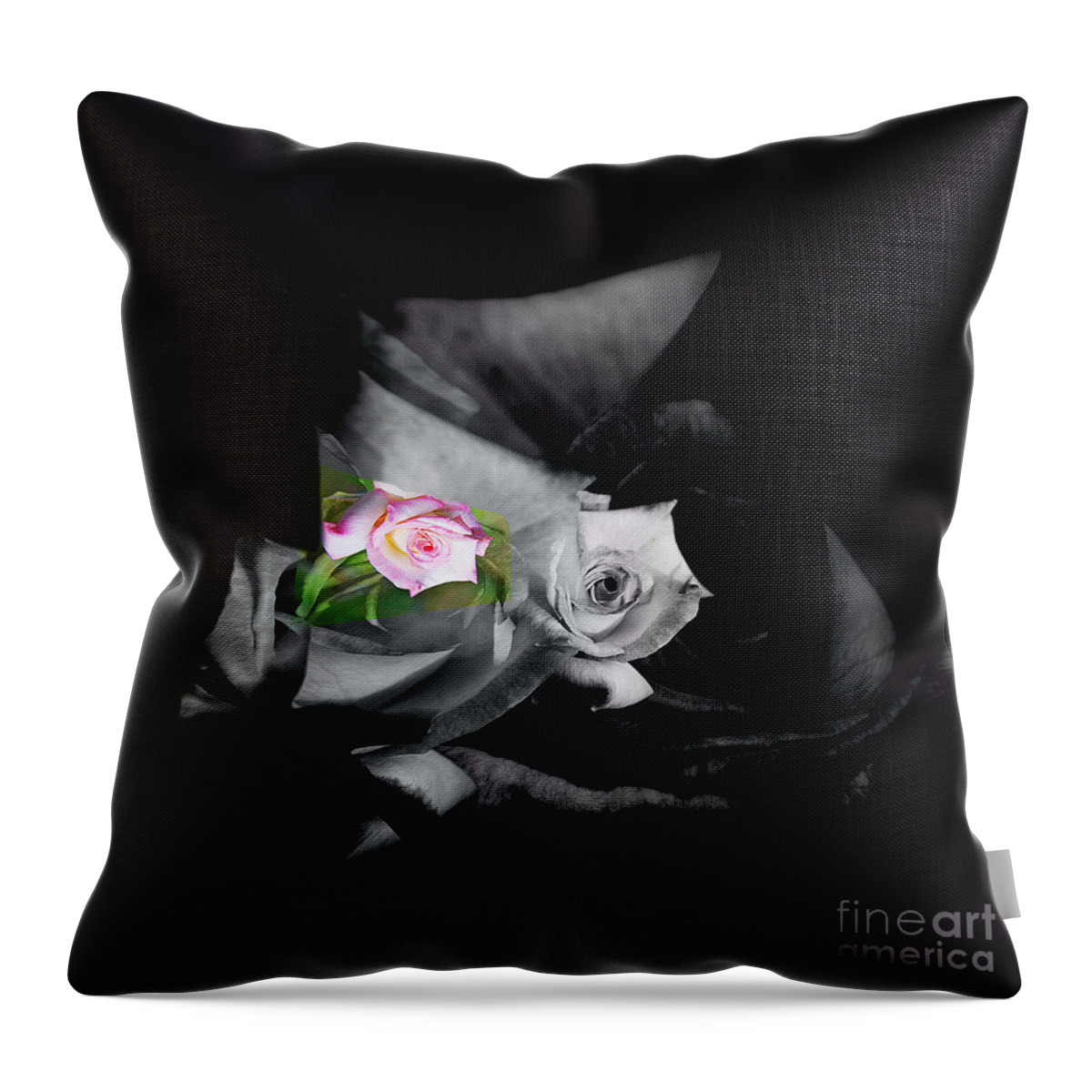 Pink Rose Throw Pillow featuring the photograph Pink Rose 2 Shades of Grey by Elaine Hunter