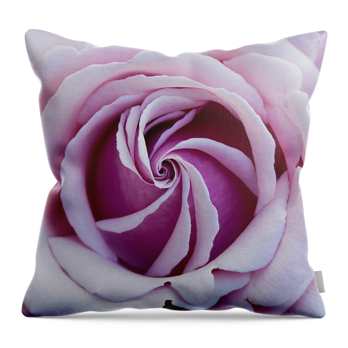 Rose Throw Pillow featuring the photograph Pink Rose Swirl by Vanessa Thomas