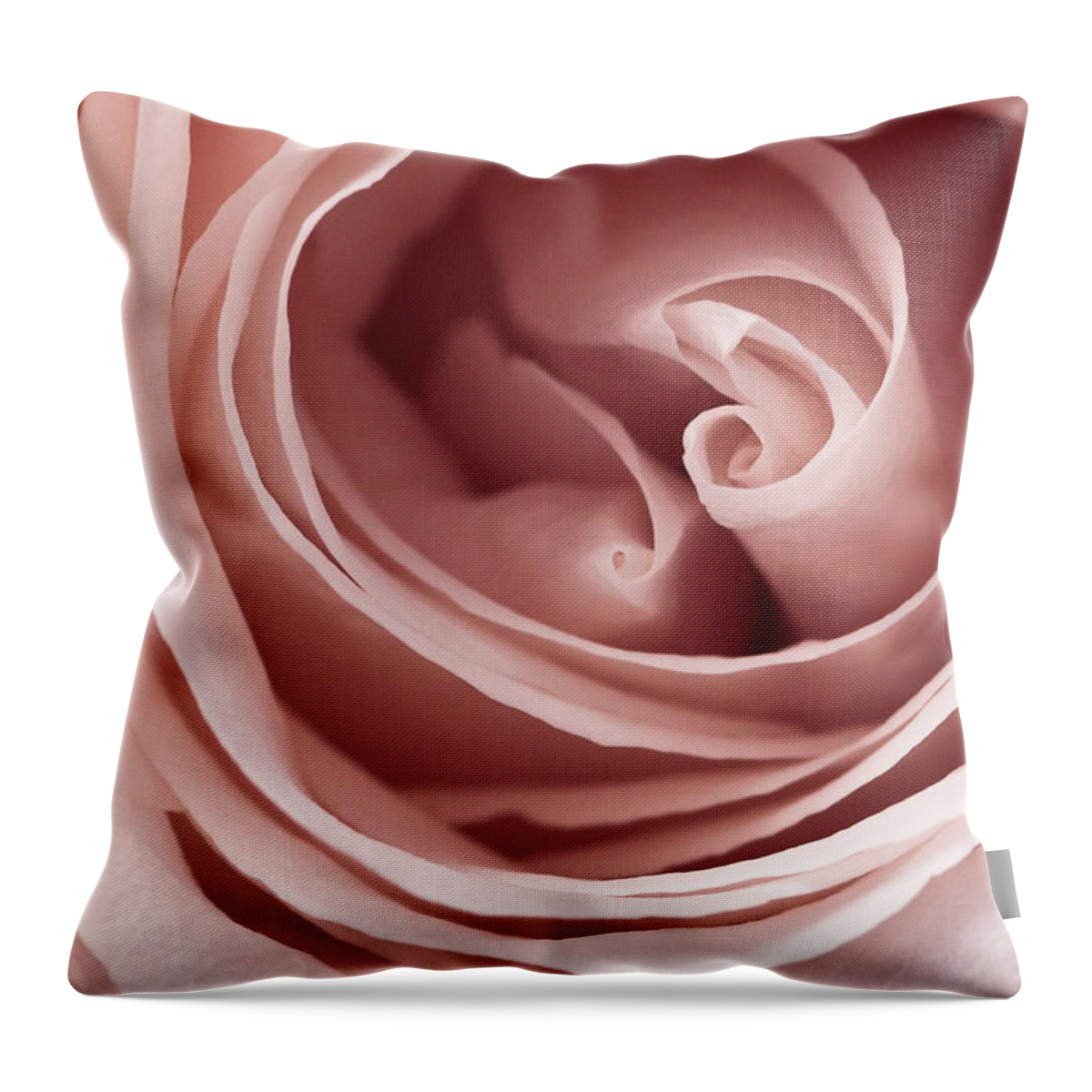 Pink Rose Throw Pillow featuring the photograph Pink Rose by Windy Osborn