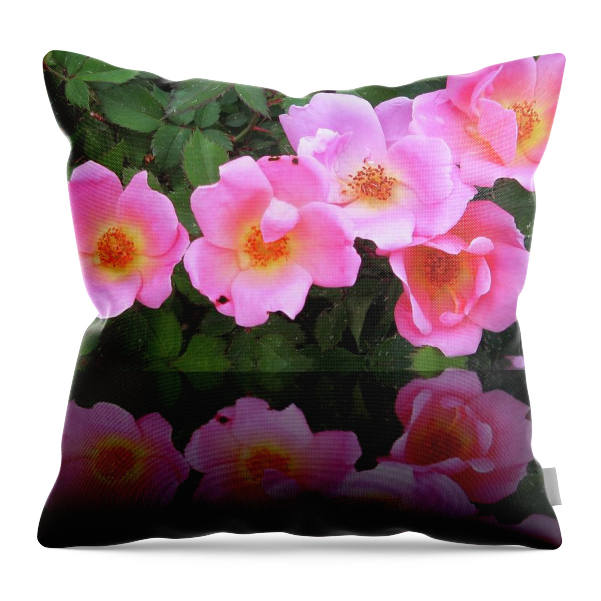 Roses Throw Pillow featuring the photograph Pink Roses by Cynthia Westbrook