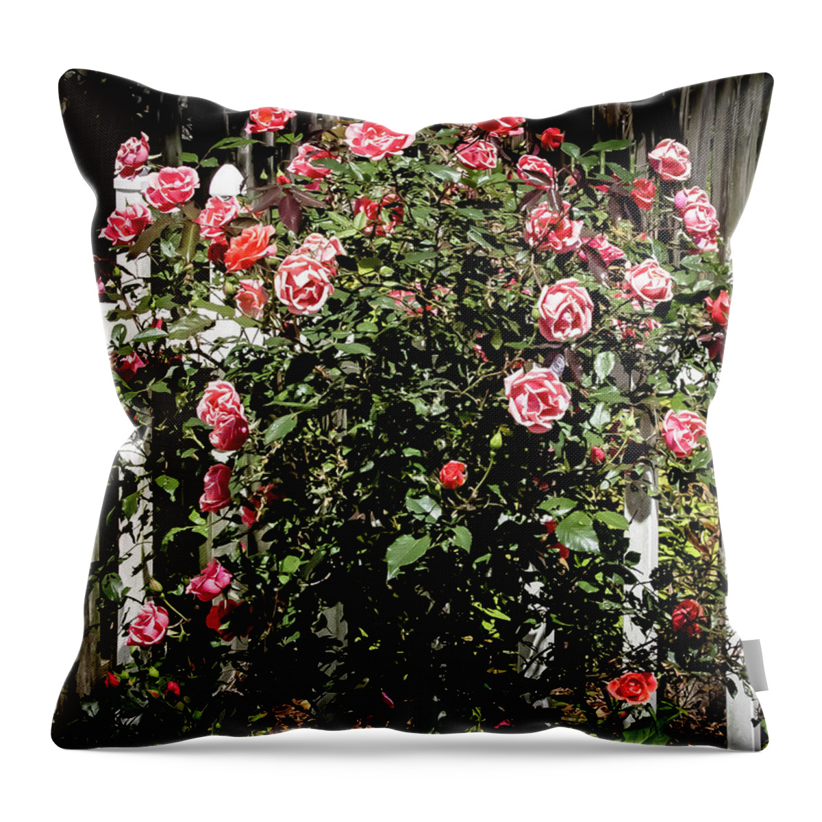 Rose Throw Pillow featuring the digital art Pink Roses by Ed Stines
