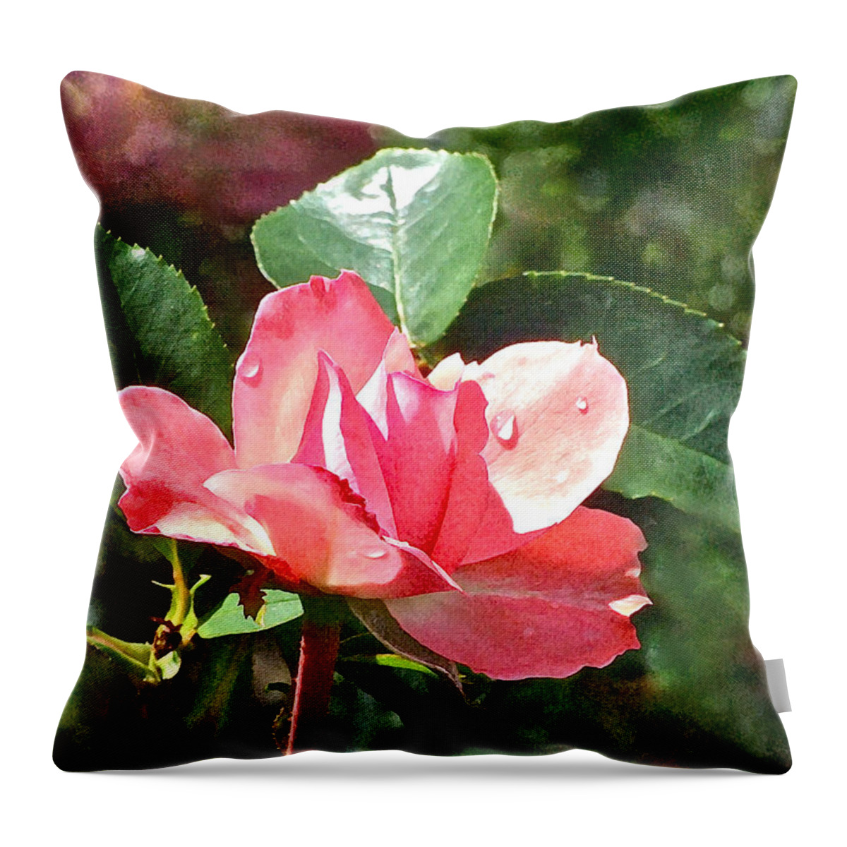 Roses Throw Pillow featuring the photograph Pink Roses in the Rain 2 by Janis Senungetuk