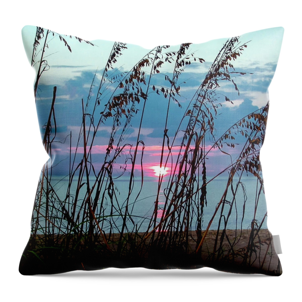 Photo For Sale Throw Pillow featuring the photograph Pink Sea Oat Sunset by Robert Wilder Jr