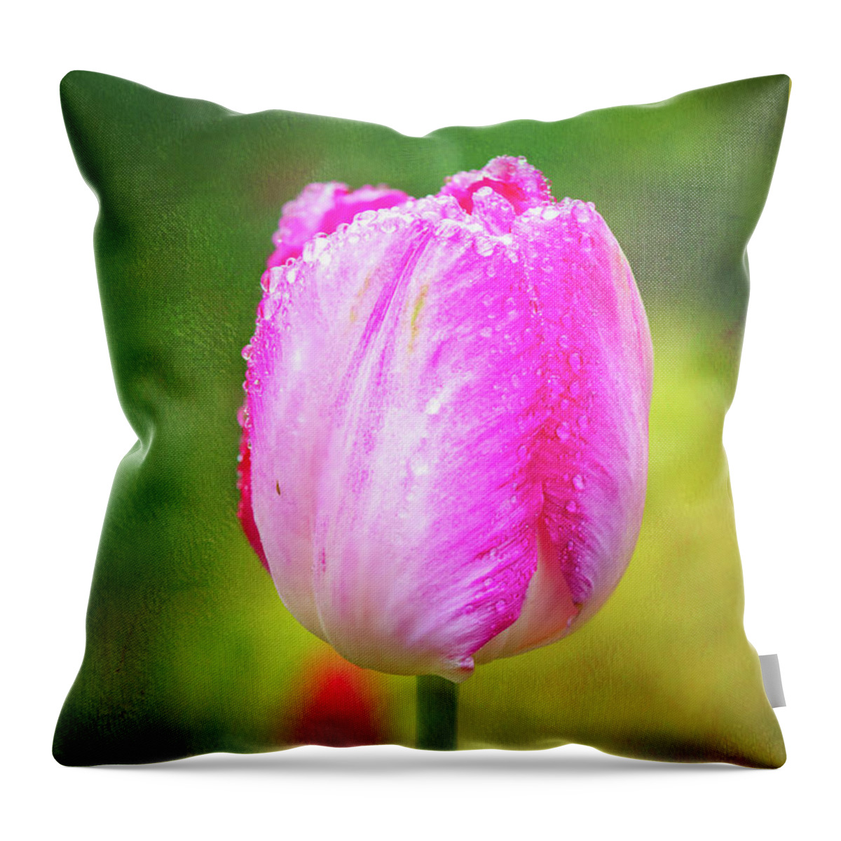 Pink Tulip Throw Pillow featuring the photograph Pink Tulip in the Rain by Anita Pollak