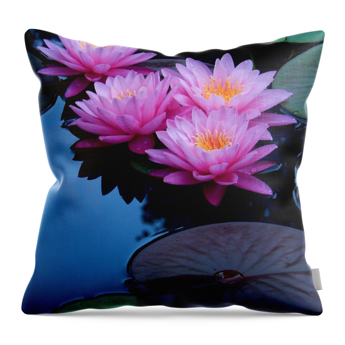Nature Throw Pillow featuring the photograph Pink Waterlilies by Sharon Williams Eng