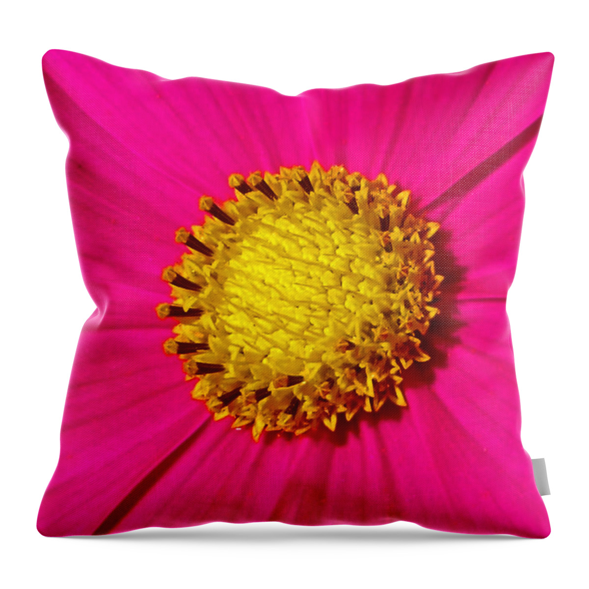 Pink Throw Pillow featuring the photograph Pink Wildflower 008 by George Bostian