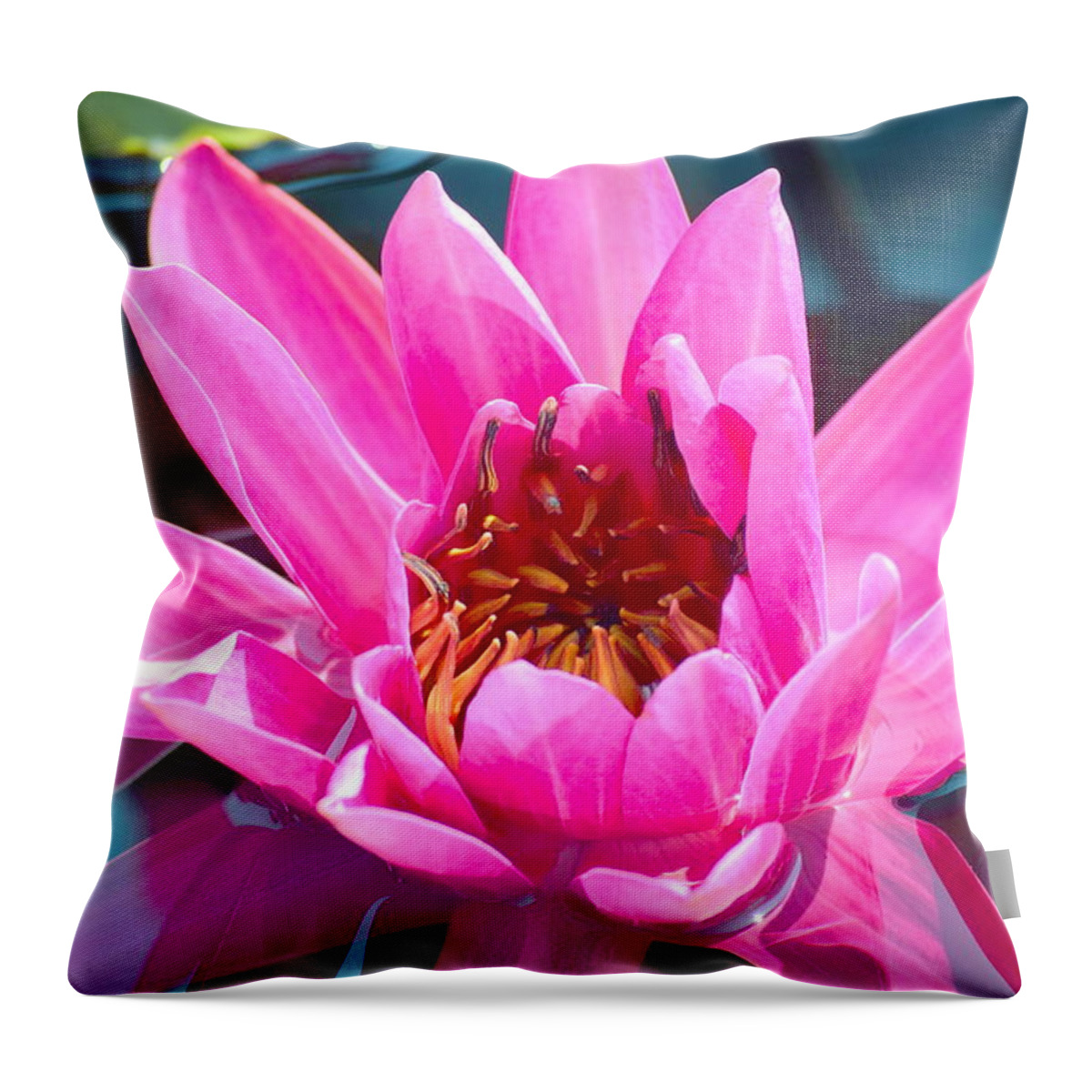 Lily Throw Pillow featuring the photograph Pink Wonder by Deborah Crew-Johnson