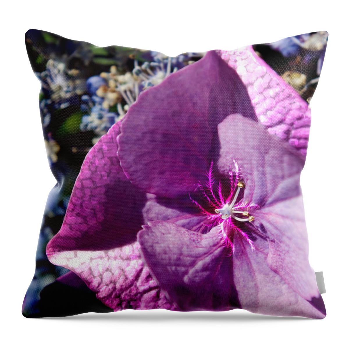 Adria Trail Throw Pillow featuring the photograph Pinker Petals by Adria Trail