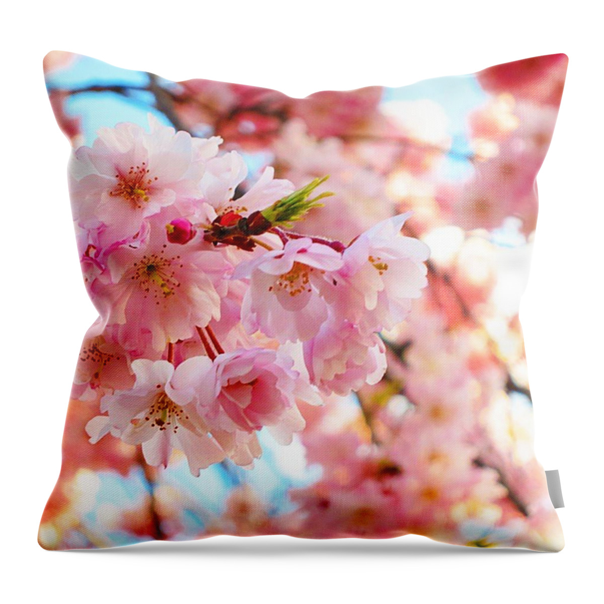 Pink Throw Pillow featuring the photograph Cherry blossom by Elinor