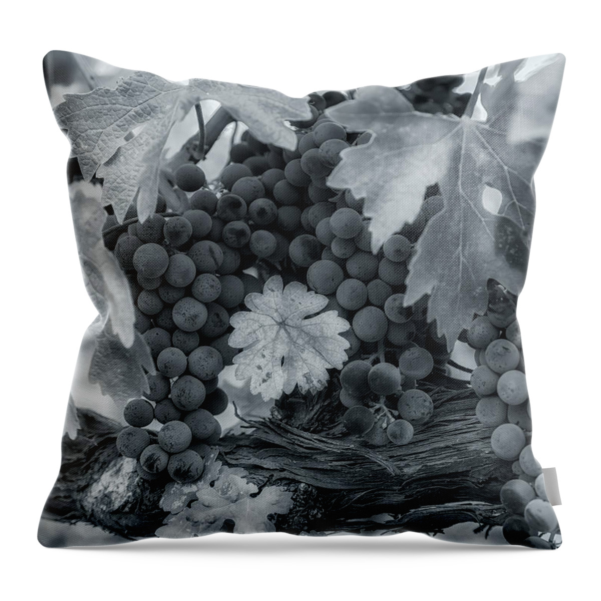 Abstract Throw Pillow featuring the photograph Pinot 2 by Jonathan Nguyen