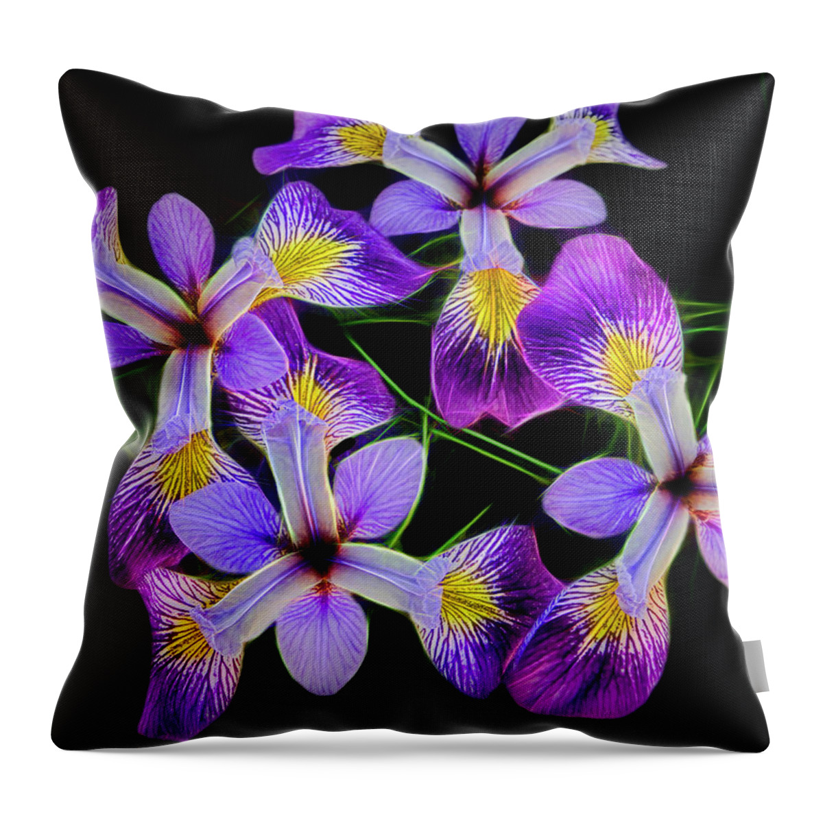 Purple Throw Pillow featuring the photograph Pinwheel Purple Iris Glow by Penny Lisowski