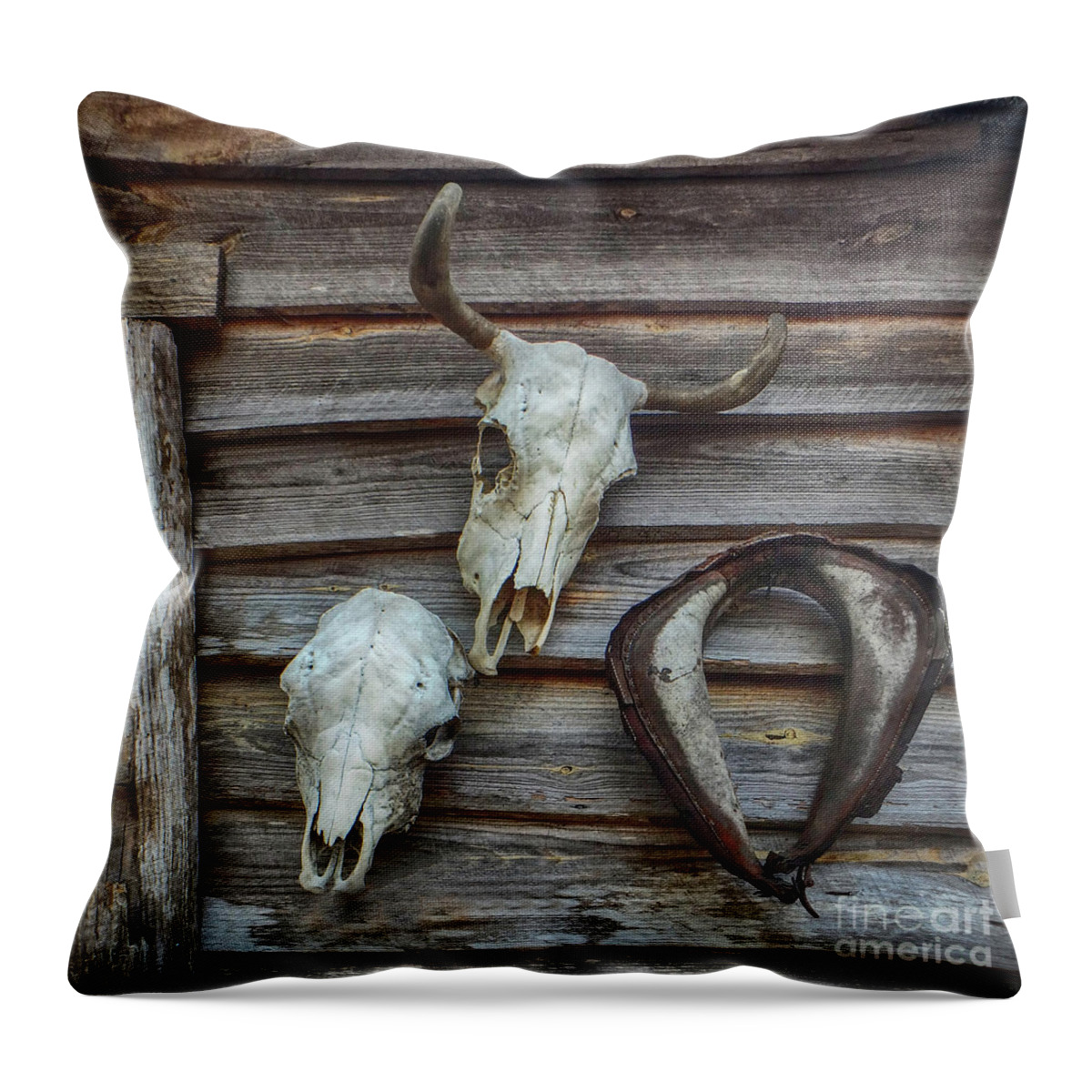 Skulls Throw Pillow featuring the photograph Pioneer Trophies by Judy Hall-Folde