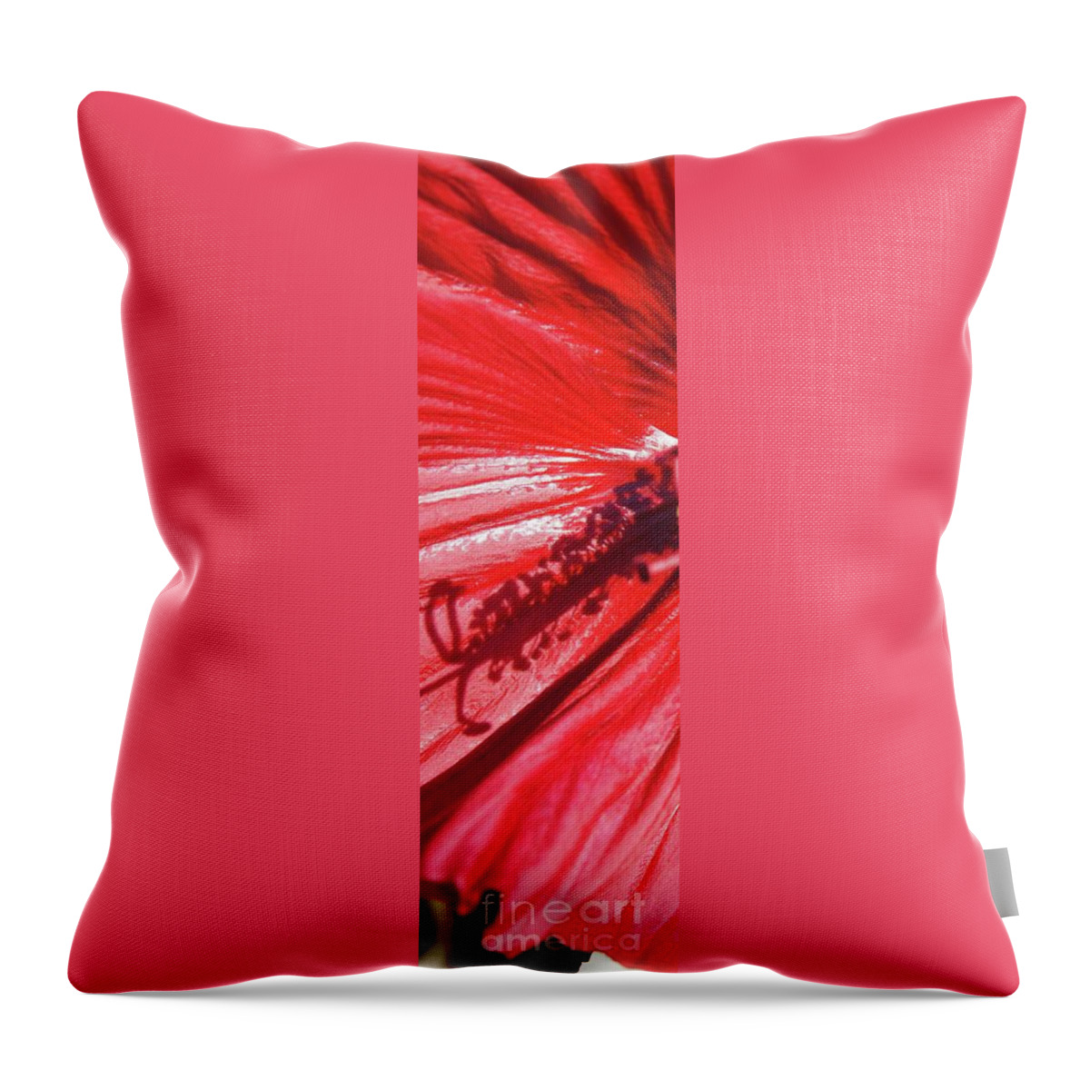 Hibiscus Throw Pillow featuring the photograph Pistil Shadow by Megan Cohen