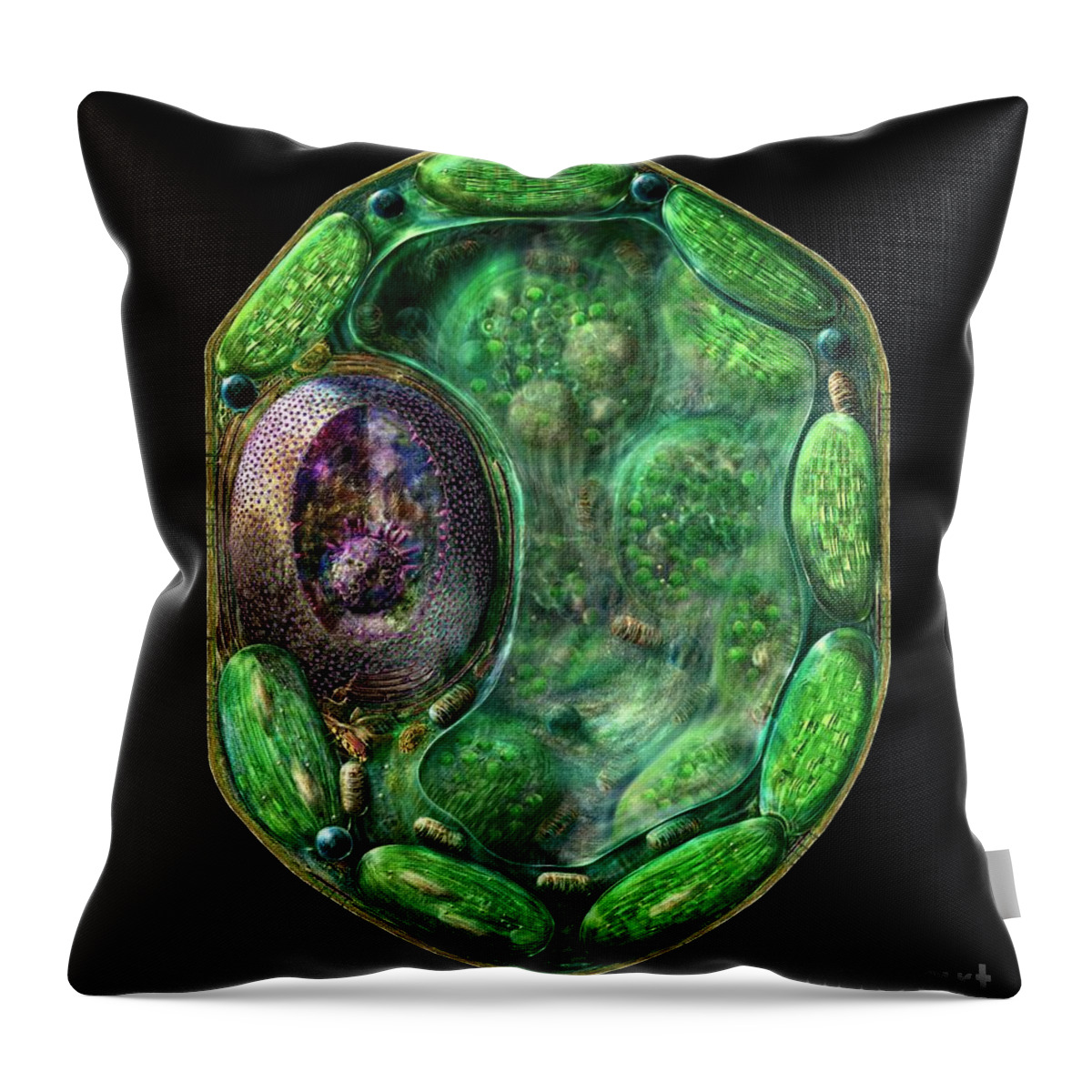 Biological Throw Pillow featuring the digital art Plant Cell by Russell Kightley