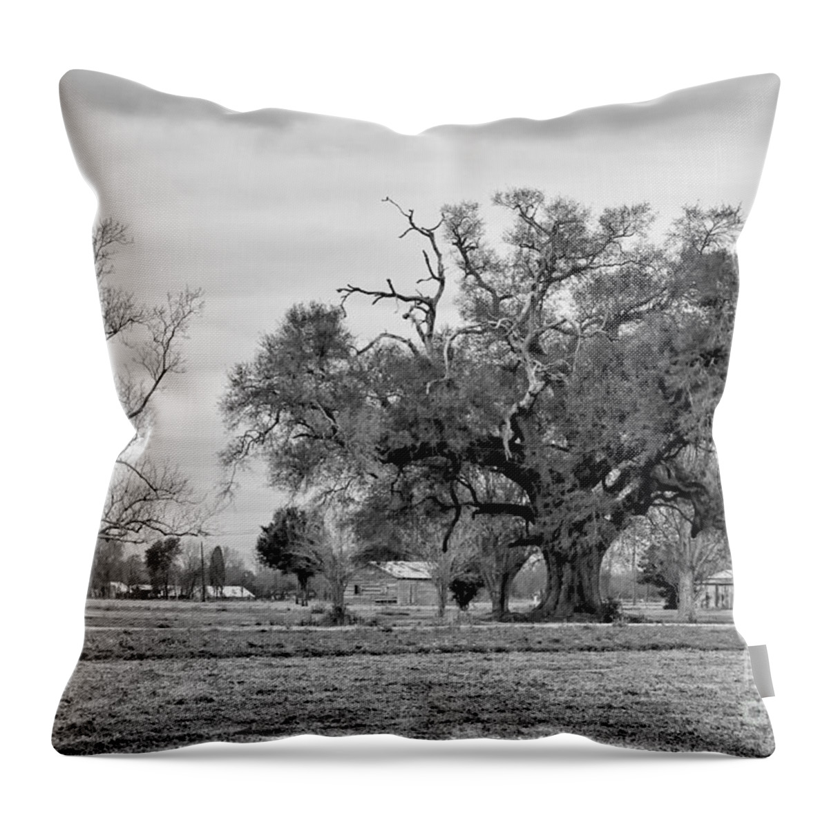  Oak Throw Pillow featuring the photograph Plantation Live Oak -River Road LA by Kathleen K Parker