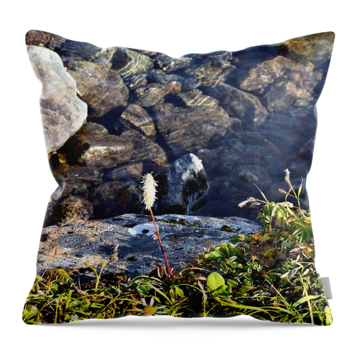 Plants Throw Pillow featuring the photograph Plants Growing By Creek by David Crewdson