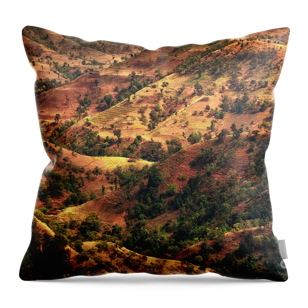 2015 Throw Pillow featuring the photograph Play of light by Nilesh Bhange