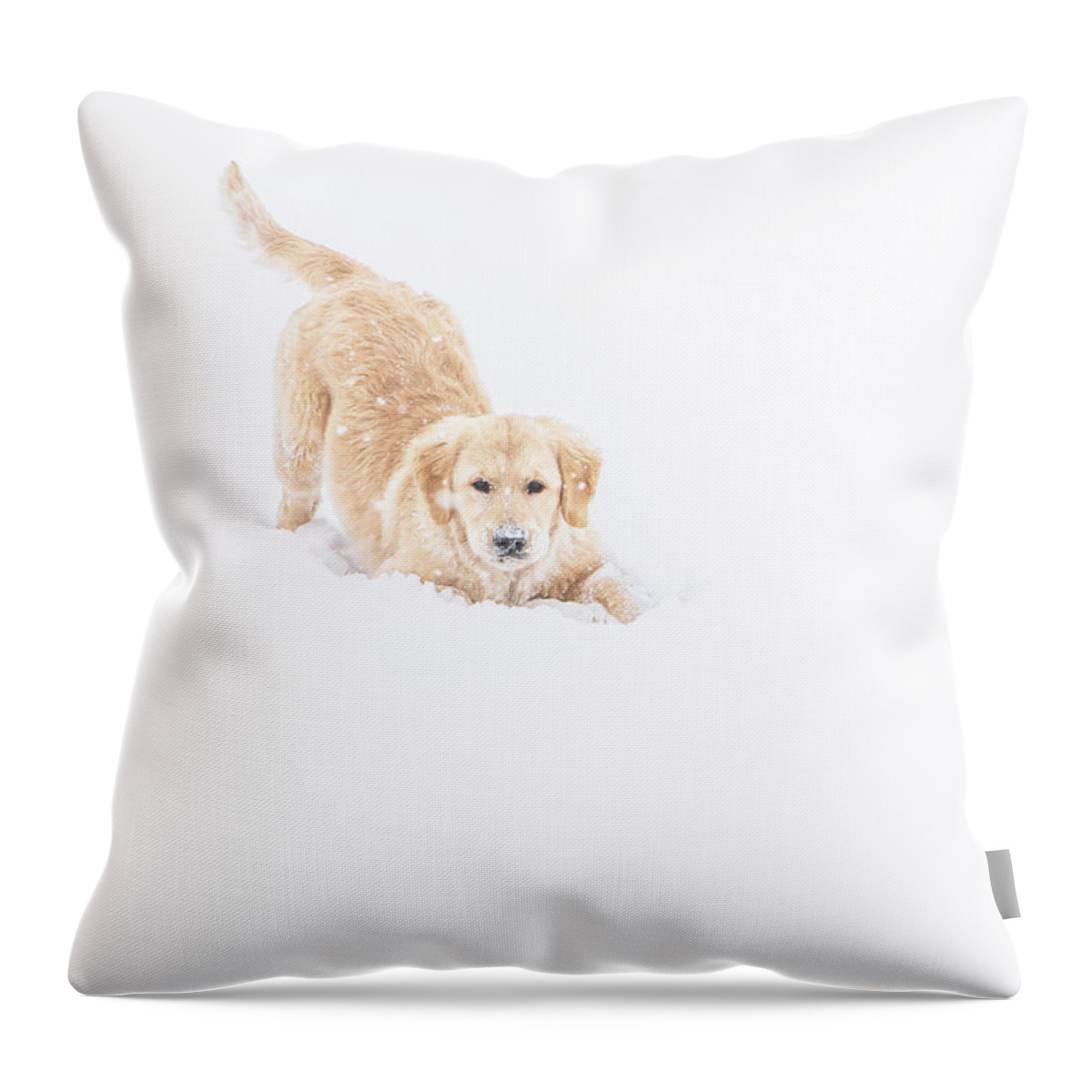 Playful Throw Pillow featuring the photograph Playful Puppy In So Much Snow by Jennifer Grossnickle