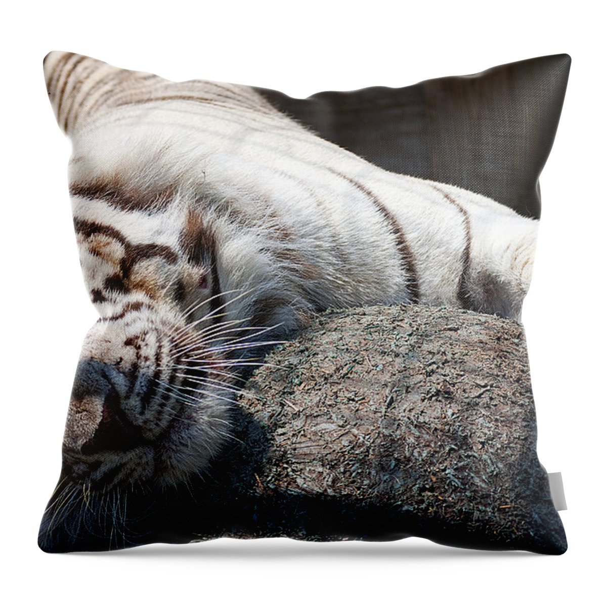 Wildlife Throw Pillow featuring the photograph Playful Tiger by Kenneth Albin