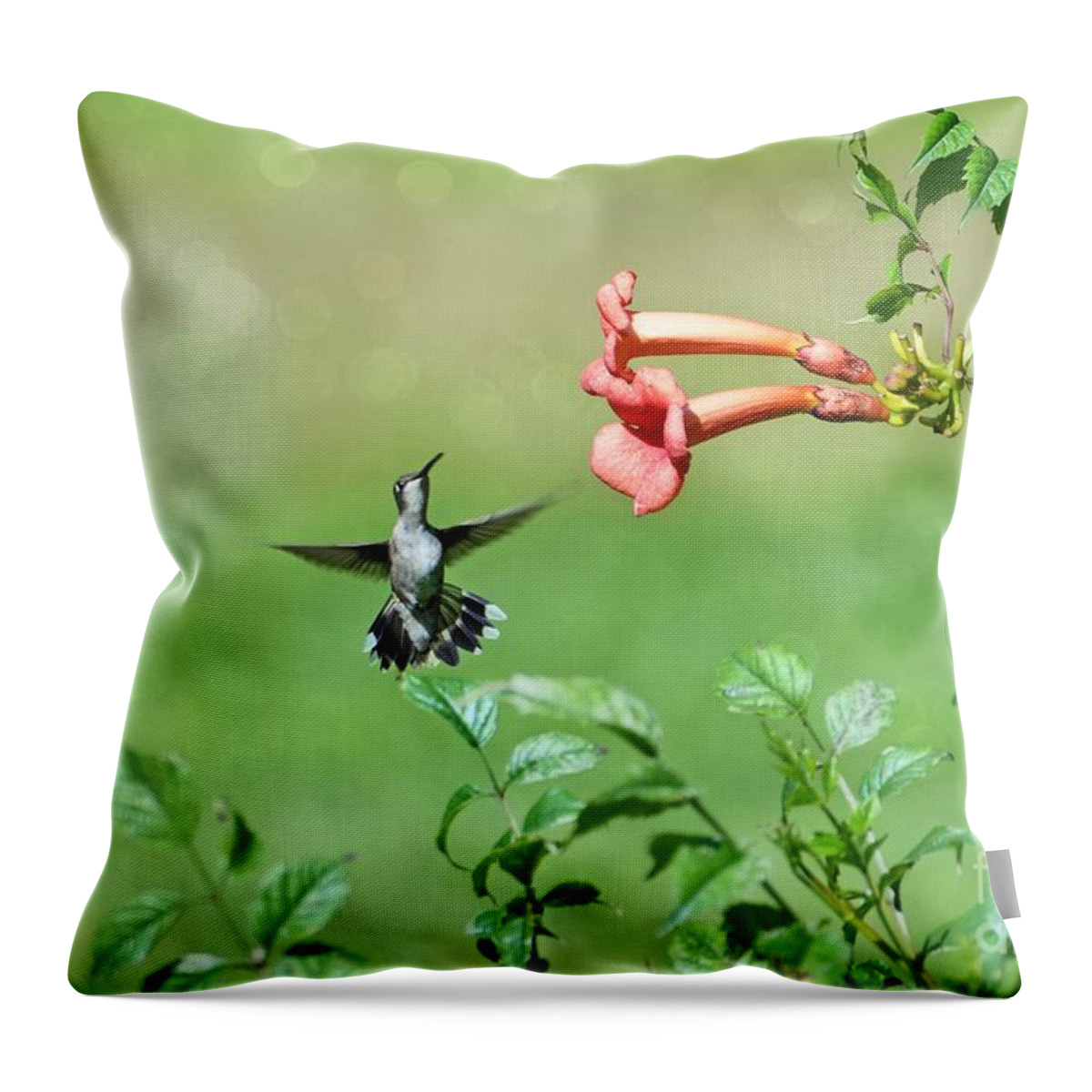 Humming Bird Throw Pillow featuring the photograph Playing Around by Lila Fisher-Wenzel