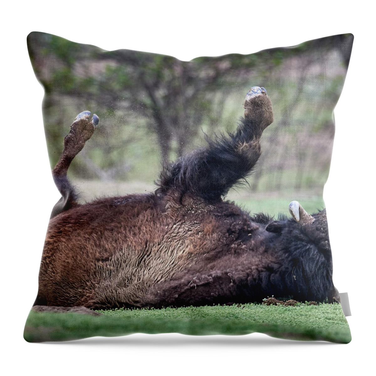 Mammal Throw Pillow featuring the photograph Playing Dead by Paul Freidlund