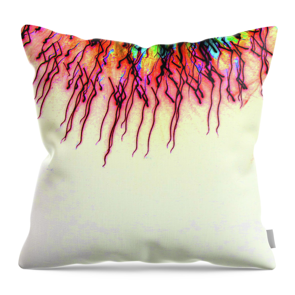 Fireworks Throw Pillow featuring the photograph Playing with Fireworks 29 by Mary Bedy