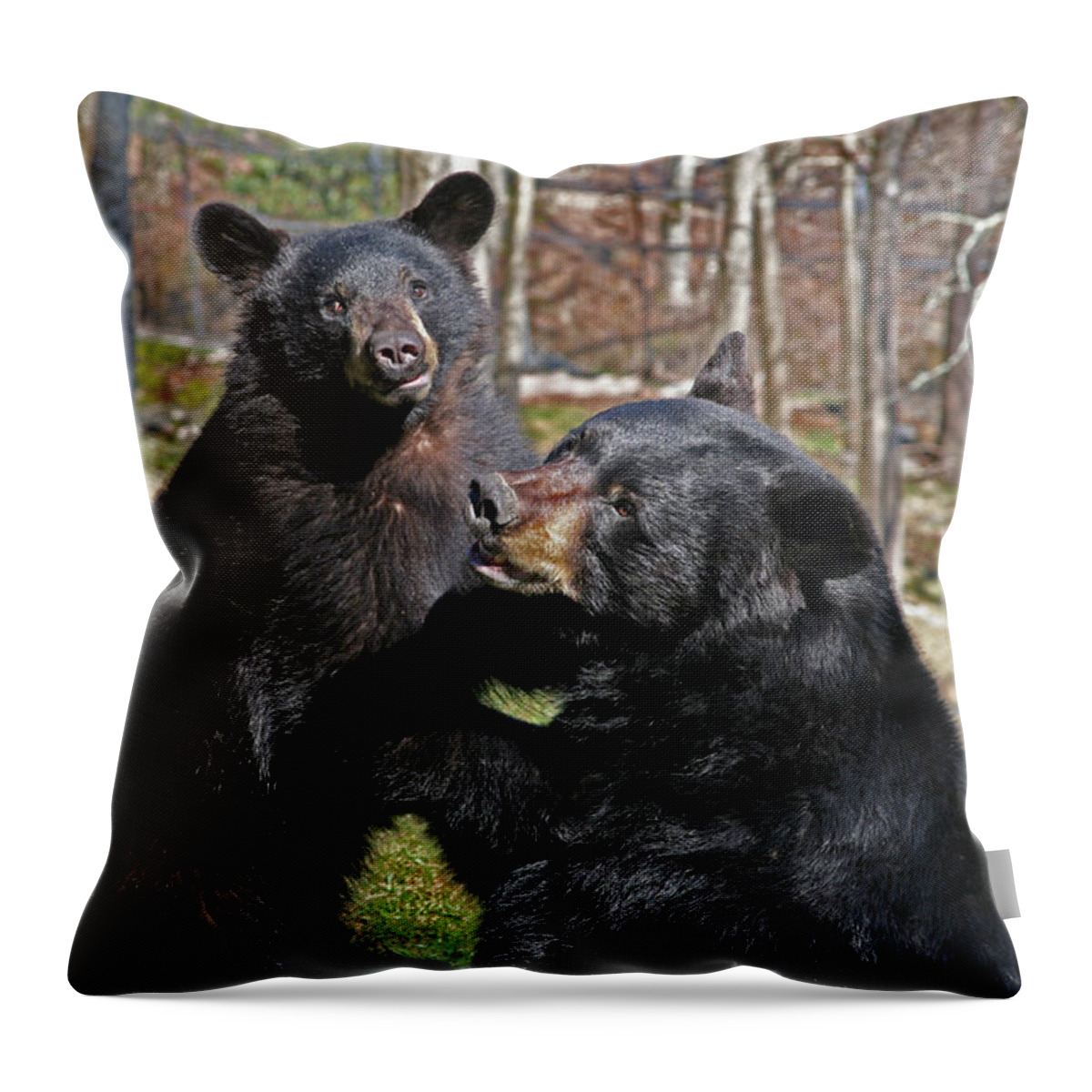Animals.bears Throw Pillow featuring the photograph Playtime by Karol Livote