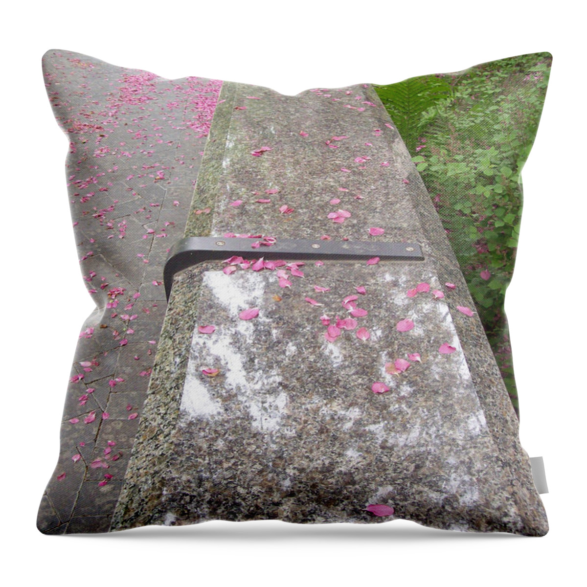 Bench Throw Pillow featuring the photograph Please Be Seated by Mary Mikawoz