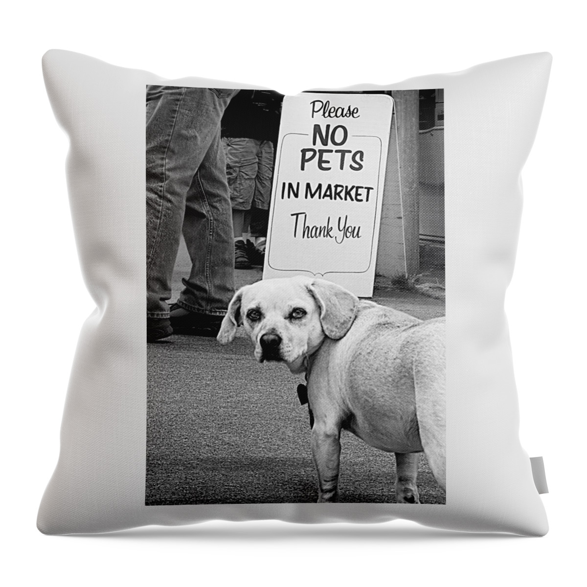 Dog Throw Pillow featuring the photograph Please No Pets in Market by Mitch Spence