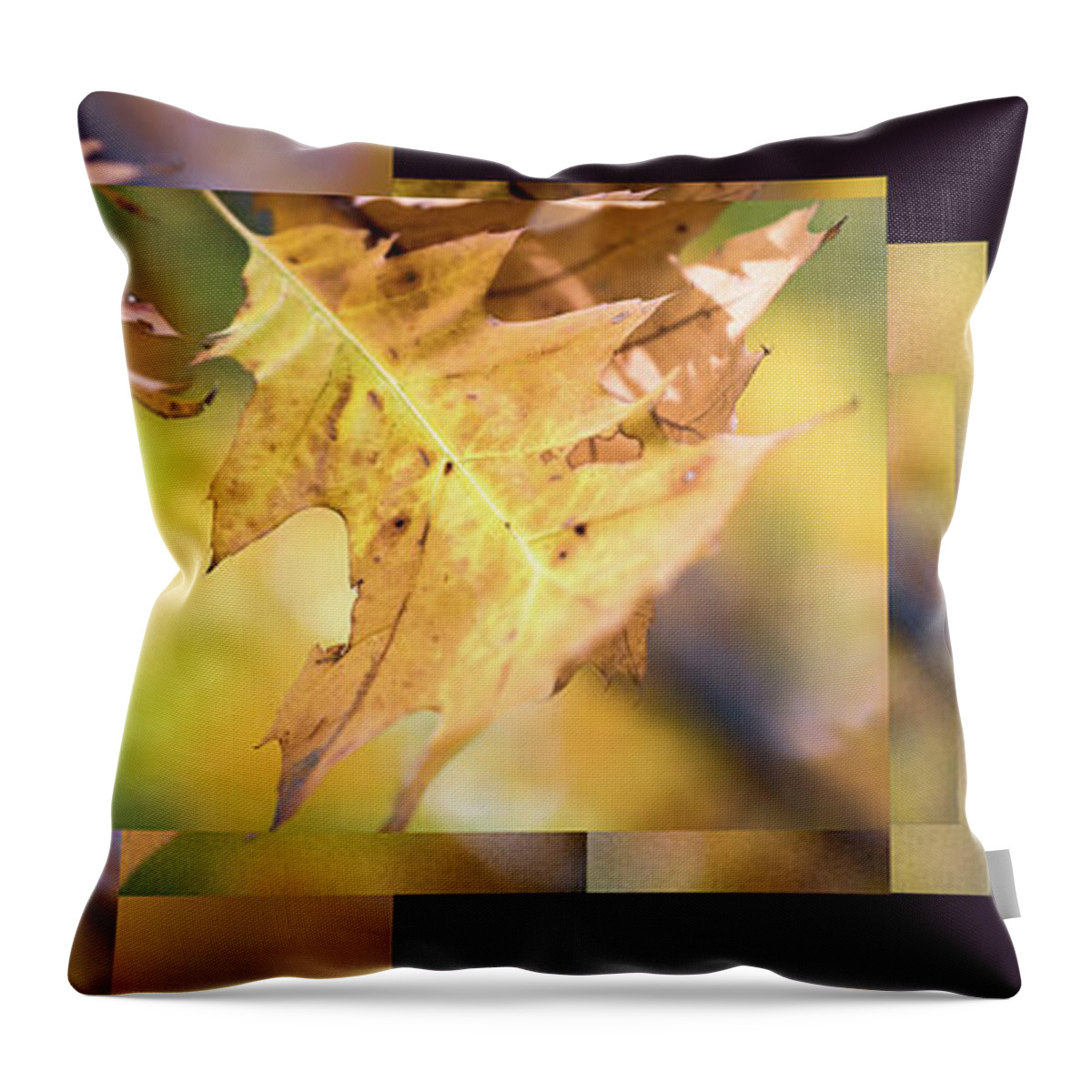 Leaves Throw Pillow featuring the photograph Pleasures of Autumn - by Julie Weber