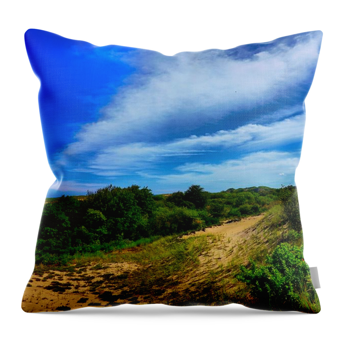 Coast Throw Pillow featuring the photograph Plum Island dunes by Lilia S