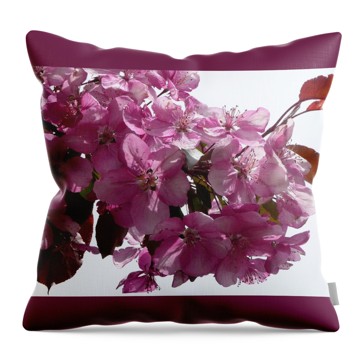 Flowers Throw Pillow featuring the photograph Plum Perfect by Ruth Kamenev