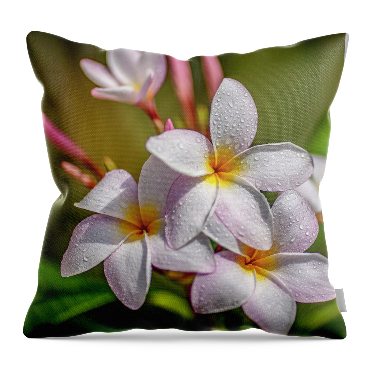 Tropical Throw Pillow featuring the photograph Plumeria 2 by Al Hurley