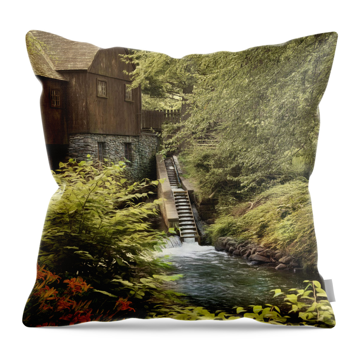 Plymouth Throw Pillow featuring the photograph Plymouth Fish Ladder by Robin-Lee Vieira