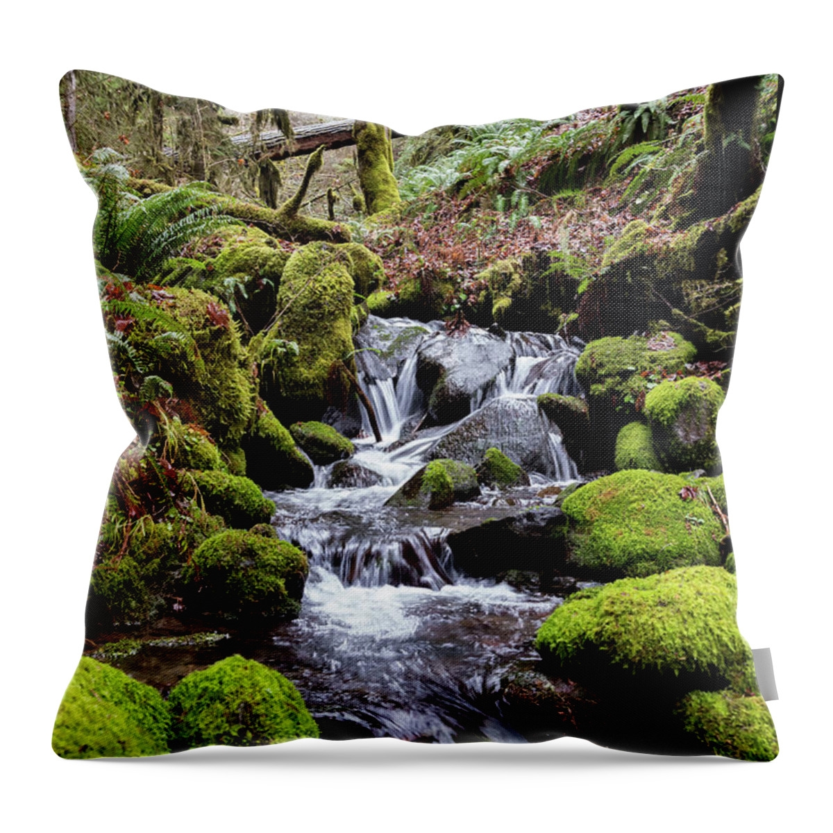 Trees Throw Pillow featuring the photograph PNW Forest by Steven Clark