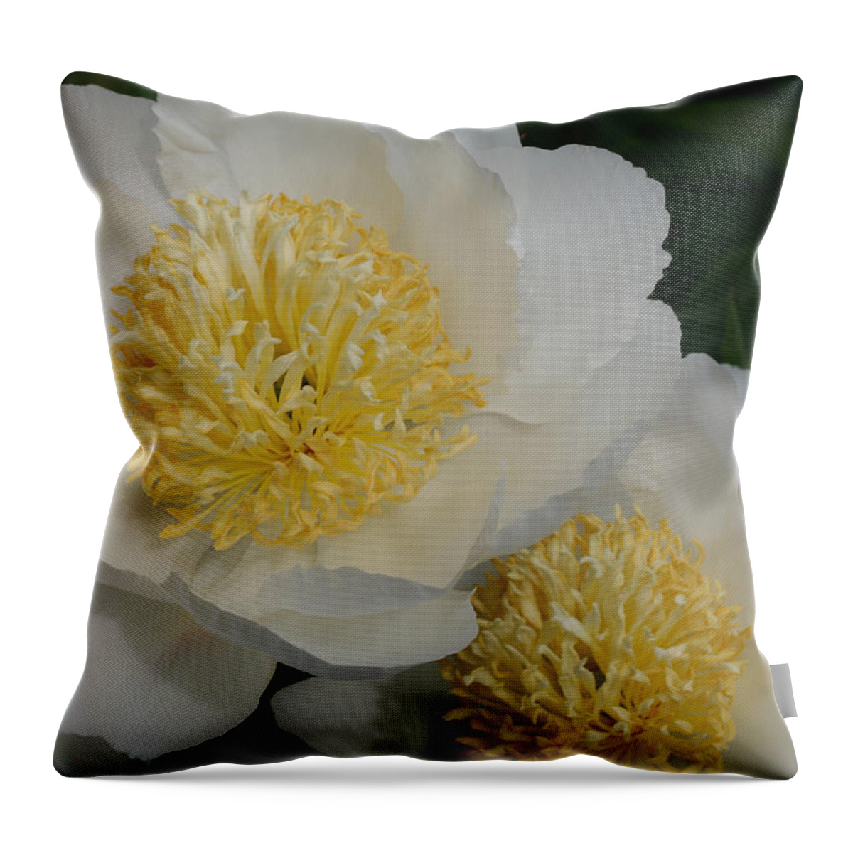 Peony Throw Pillow featuring the photograph Poached Peonies by Tammy Pool
