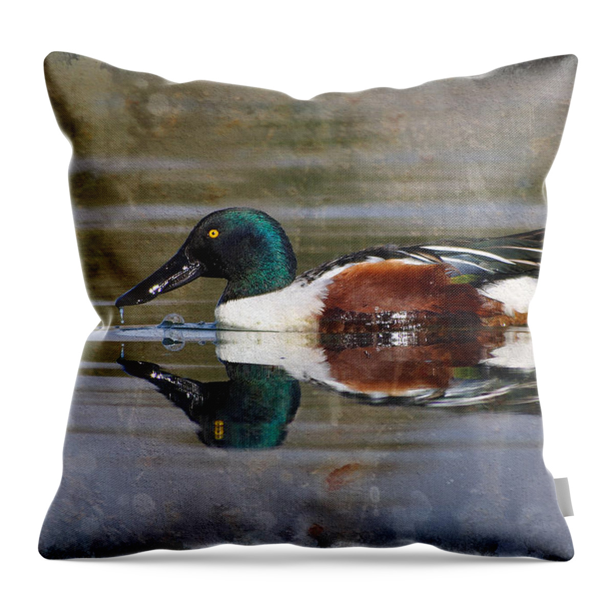 Animal Throw Pillow featuring the photograph Pochard by Perry Van Munster