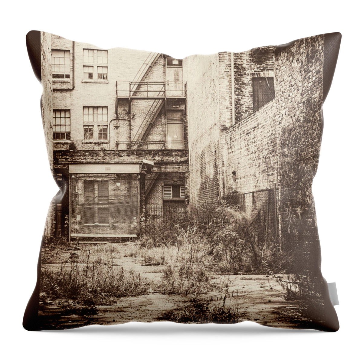 Deterioration Throw Pillow featuring the photograph Poetic Deterioration by Frances Ann Hattier