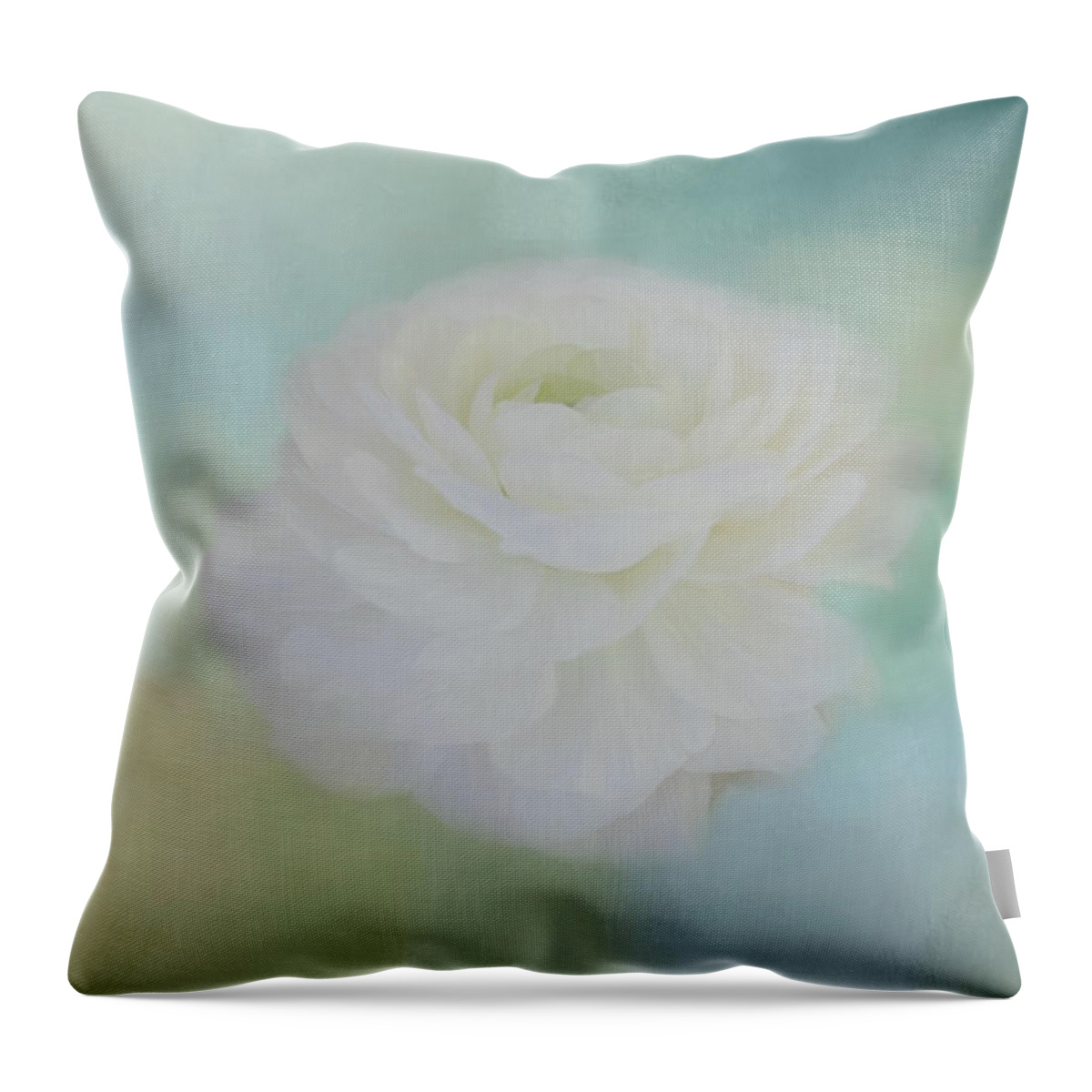 Rose Throw Pillow featuring the photograph Poetry Dreams by Kim Hojnacki