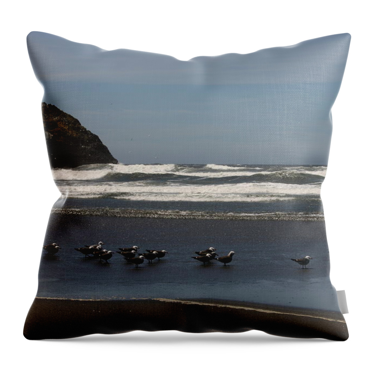 Pistol River Throw Pillow featuring the photograph Poetry in motion by Marie Neder
