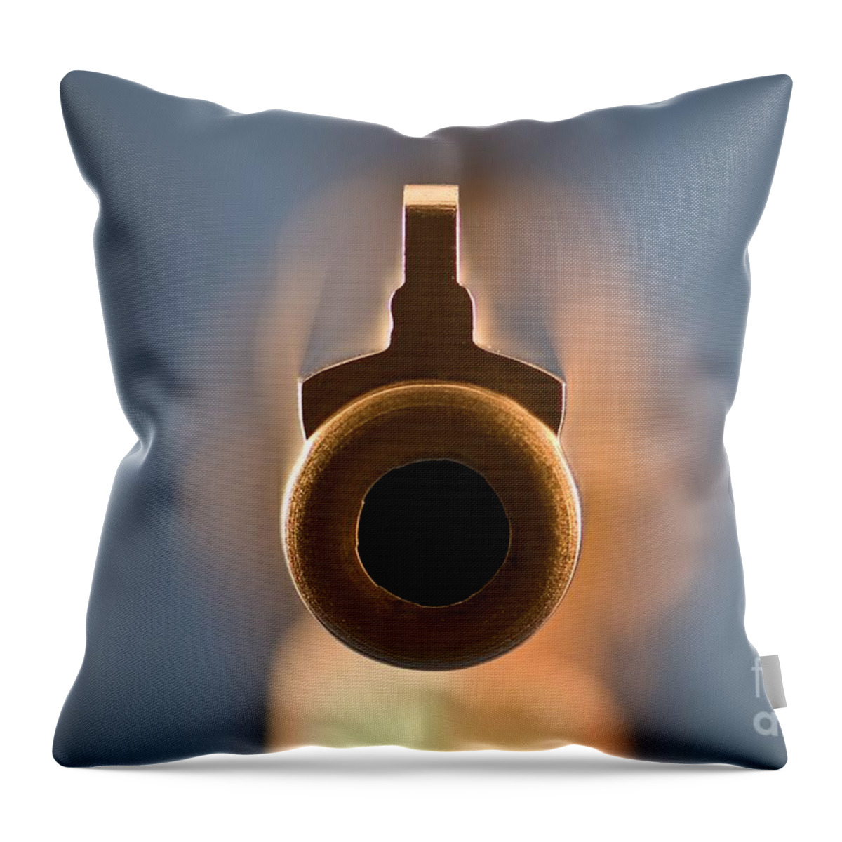 Point Throw Pillow featuring the photograph Point Blank by Charles Dobbs