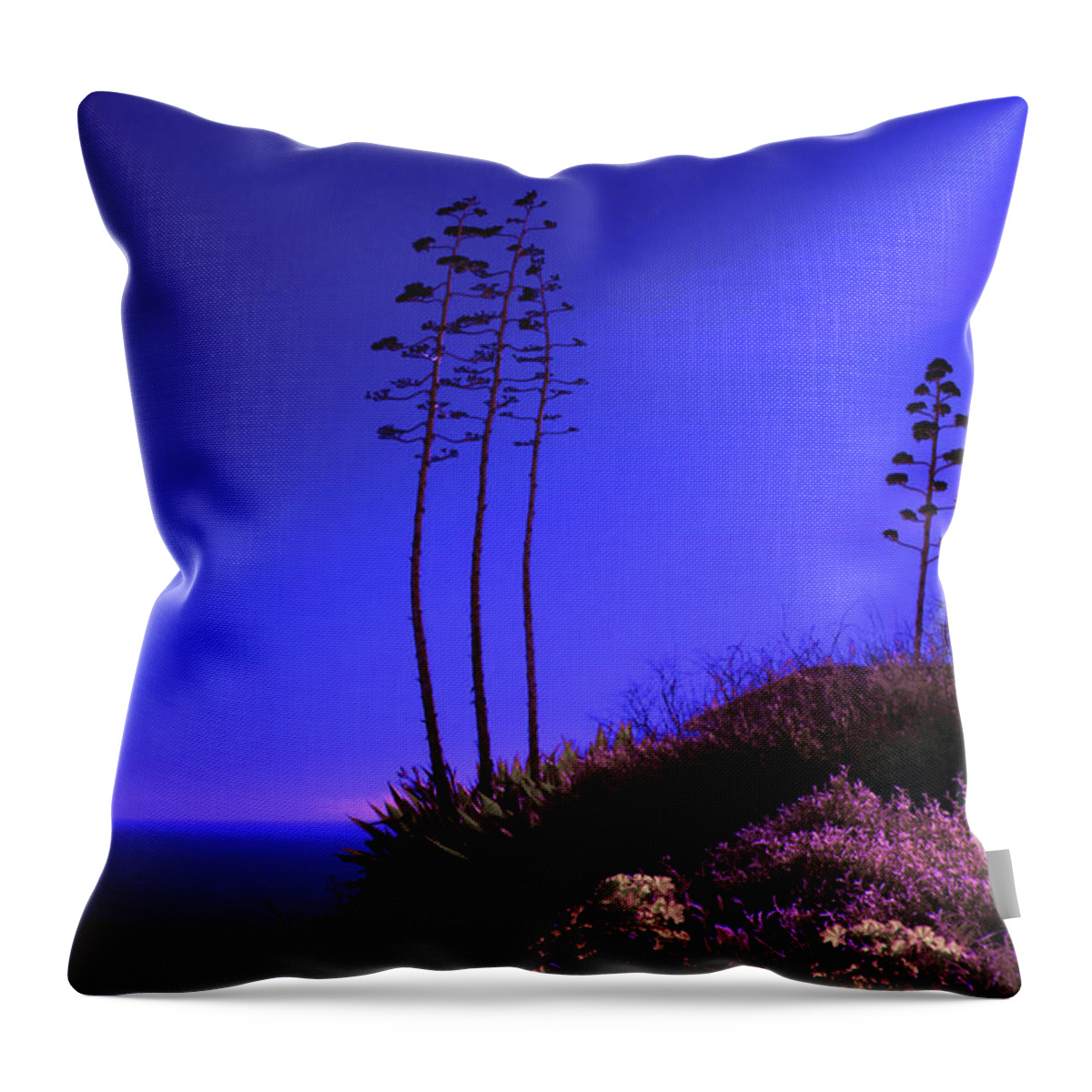Art Throw Pillow featuring the photograph Point Fermin in Infrared by Randall Nyhof