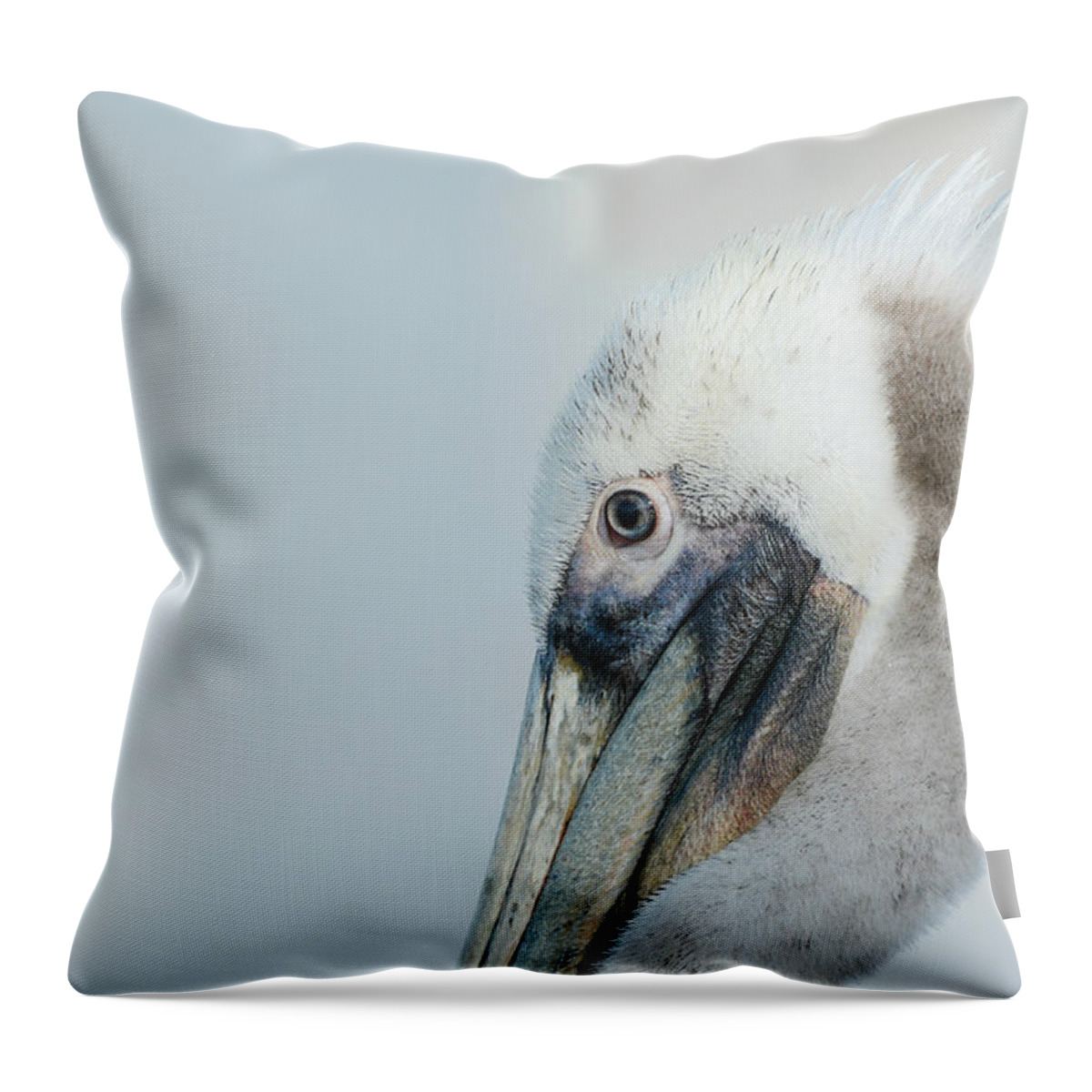 California Brown Pelican Throw Pillow featuring the photograph Poise by Fraida Gutovich