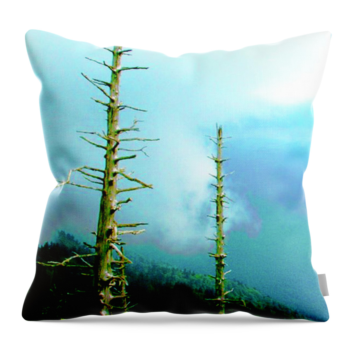 Smokey Mountains Throw Pillow featuring the photograph Pokey Mountain Pines by Rod Whyte