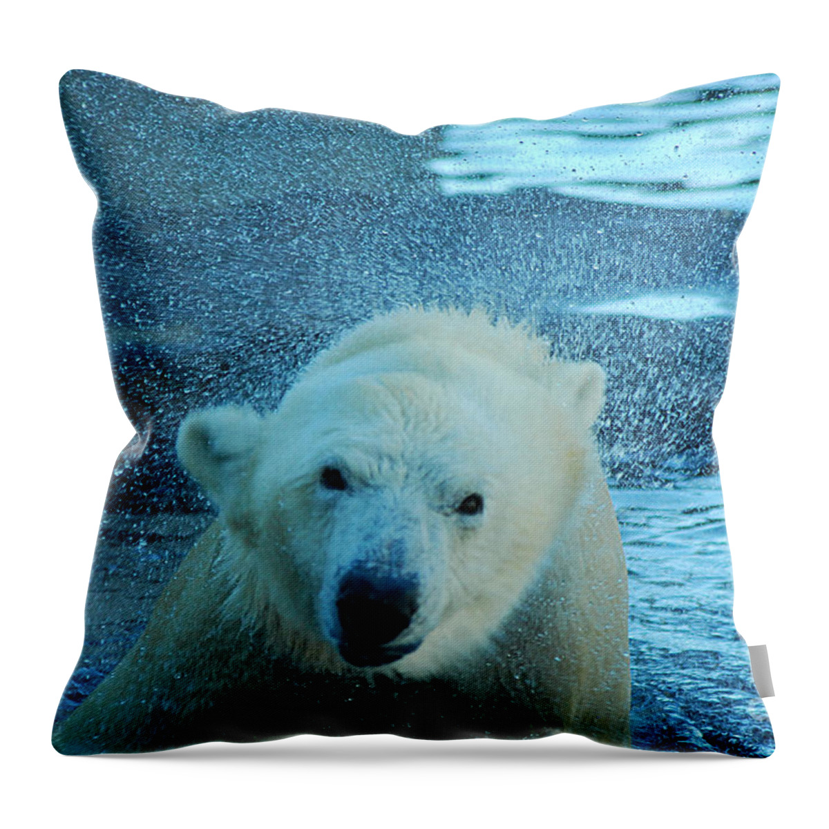 Polar Bear Throw Pillow featuring the photograph Polar Bear 20150117_166 by Tina Hopkins