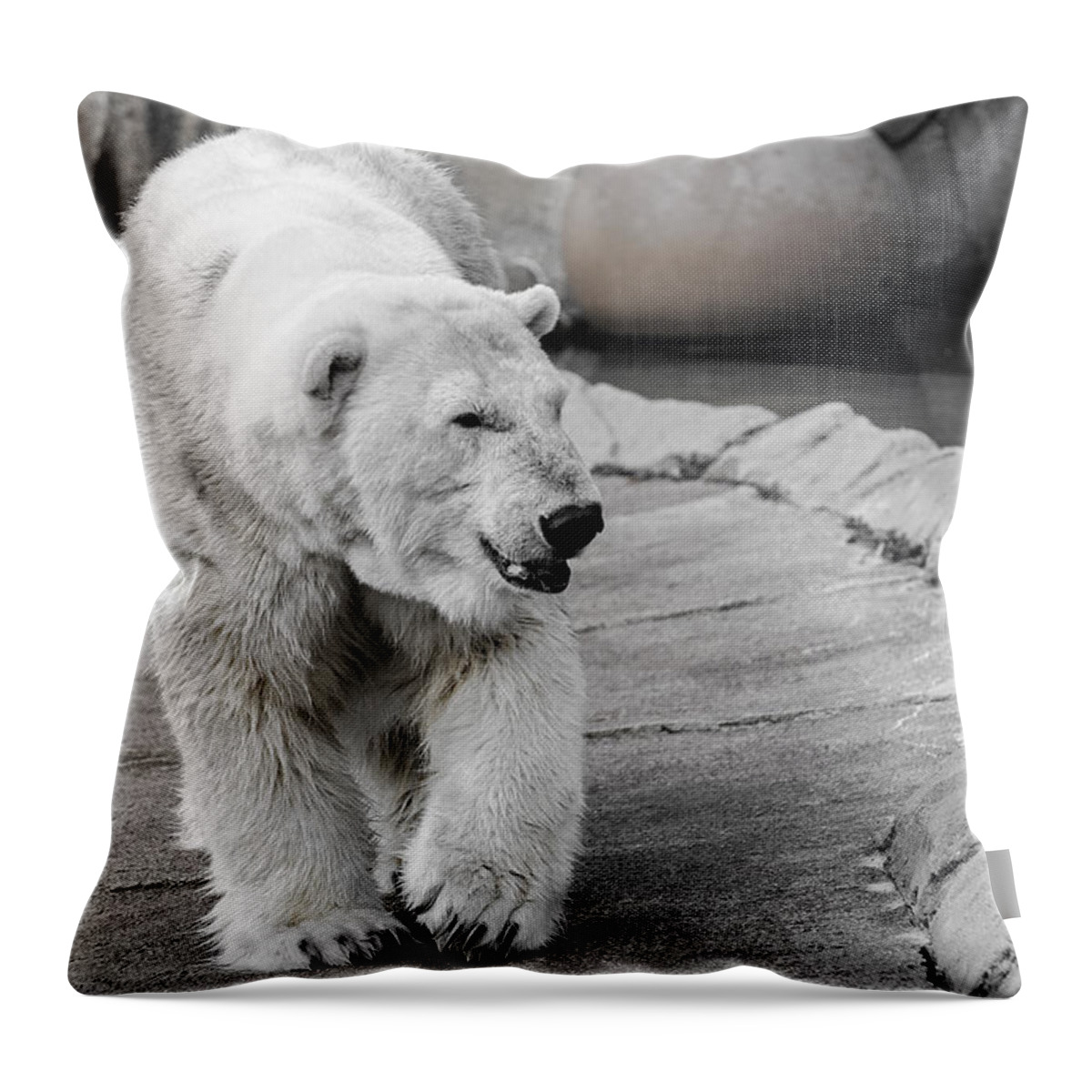 Polar Bear Throw Pillow featuring the photograph Polar Bear 3 by Susan McMenamin